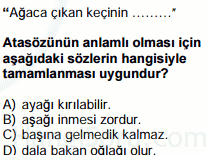 atasözleri testi