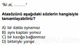 atasözleri testi