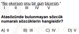 atasözleri testi