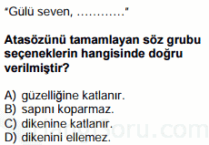 atasözleri testi