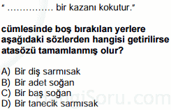 atasözleri testi