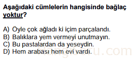 bağlaçlar testi