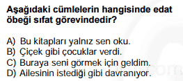 bağlaçlar testi