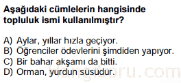 isimler testi