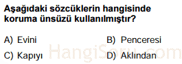 ses bilgisi