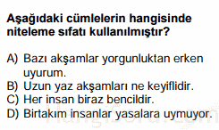 sıfatlar testi