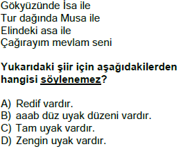 şiir bilgisi