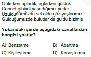 söz sanatları