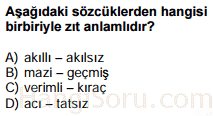 sözcükte anlam