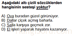 sözcükte anlam