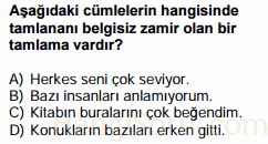 zamirler testi