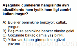 zamirler testi