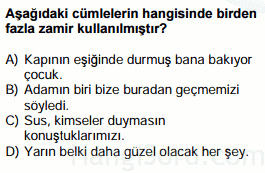 zamirler testi