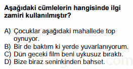 zamirler testi