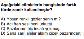 zamirler testi