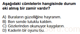 zamirler testi