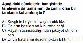 zamirler testi