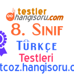 8. Sınıf Noktalama İşaretleri Testi Çöz 3 (LGS Hazırlık)